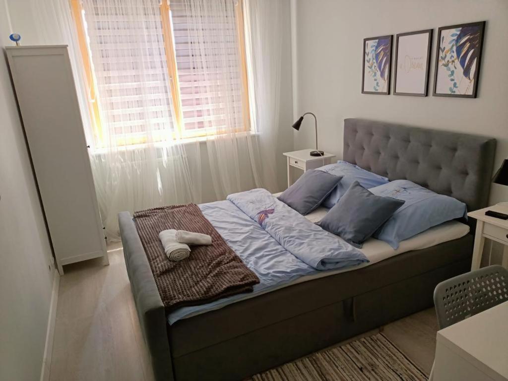 Apartament Polonia Leilighet Szczecin Eksteriør bilde